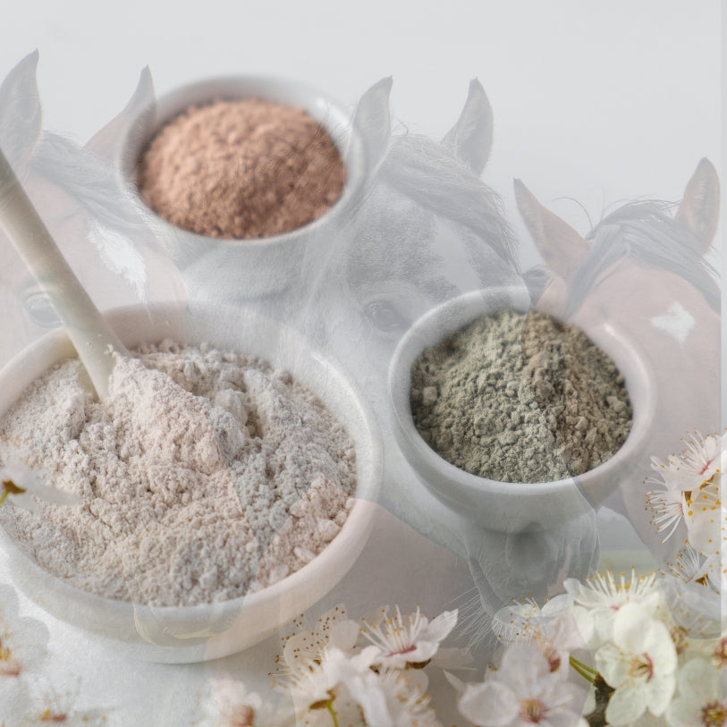 summer sore clay for horses