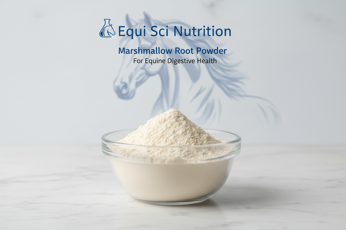 Marshmallow Root Powder for Equine Gut Support